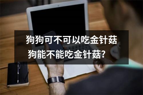 狗狗可不可以吃金针菇 狗能不能吃金针菇? 狗狗可不可以吃金针菇 狗能不能吃金针菇?