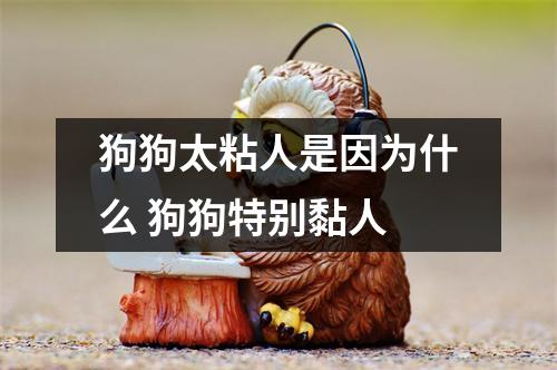 狗狗太粘人是因为什么 狗狗特别黏人 狗狗太粘人是因为什么 狗狗特别黏人