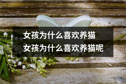 女孩为什么喜欢养猫 女孩为什么喜欢养猫呢