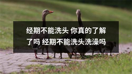 经期不能洗头 你真的了解了吗 经期不能洗头洗澡吗