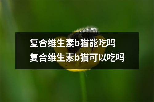 复合维生素b猫能吃吗 复合维生素b猫可以吃吗