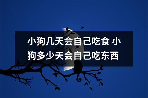 小狗几天会自己吃食 小狗多少天会自己吃东西 小狗几天会自己吃食 小狗多少天会自己吃东西