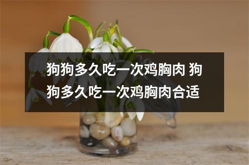 狗狗多久吃一次鸡胸肉 狗狗多久吃一次鸡胸肉合适