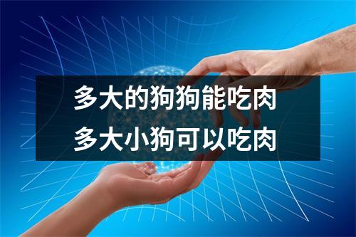 多大的狗狗能吃肉 多大小狗可以吃肉