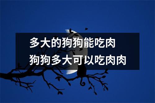 多大的狗狗能吃肉 狗狗多大可以吃肉肉