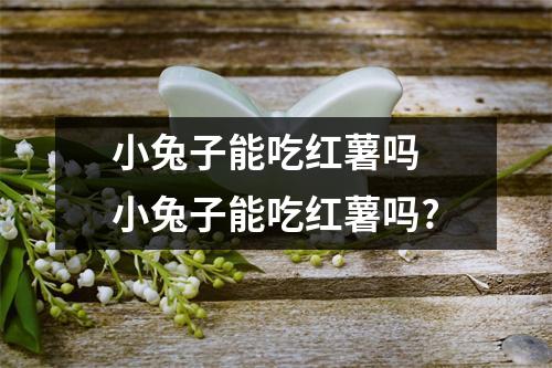 小兔子能吃红薯吗 小兔子能吃红薯吗?