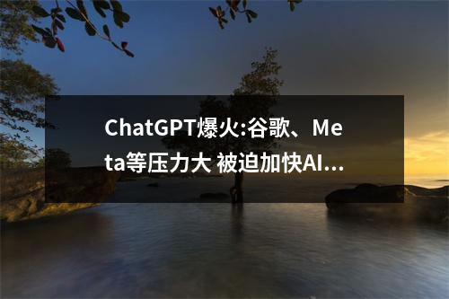 ChatGPT爆火:谷歌、Meta等压力大 被迫加快AI开发 google trans