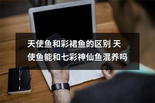 天使鱼和彩裙鱼的区别 天使鱼能和七彩神仙鱼混养吗