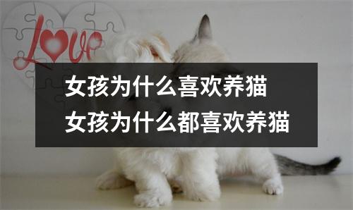 女孩为什么喜欢养猫 女孩为什么都喜欢养猫