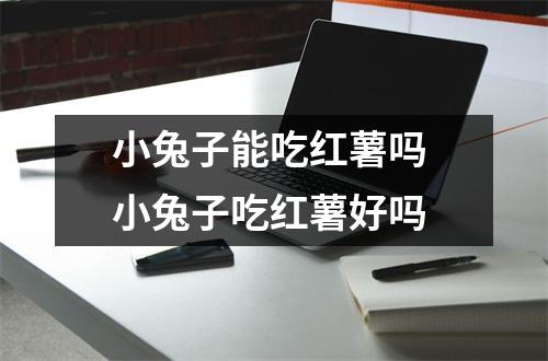 小兔子能吃红薯吗 小兔子吃红薯好吗