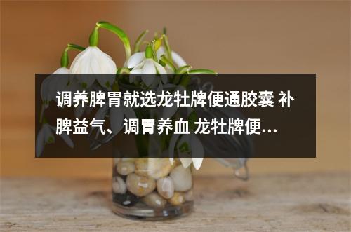 调养脾胃就选龙牡牌便通胶囊 补脾益气、调胃养血 龙牡牌便通胶囊的功效与作用