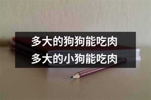 多大的狗狗能吃肉 多大的小狗能吃肉