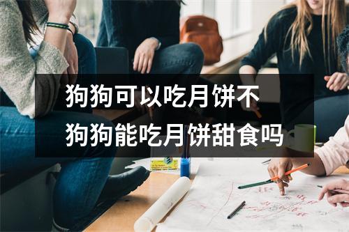 狗狗可以吃月饼不 狗狗能吃月饼甜食吗