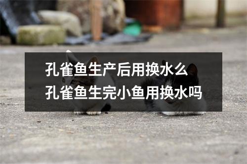 孔雀鱼生产后用换水么 孔雀鱼生完小鱼用换水吗