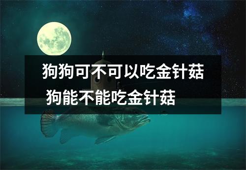 狗狗可不可以吃金针菇 狗能不能吃金针菇