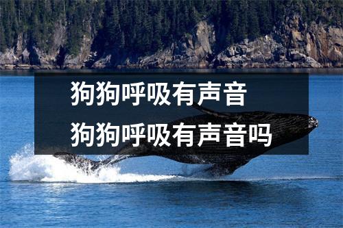 狗狗呼吸有声音 狗狗呼吸有声音吗