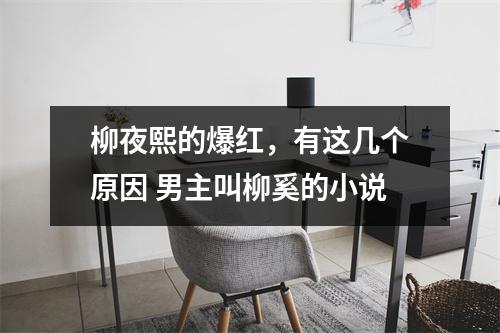 柳夜熙的爆红，有这几个原因 男主叫柳奚的小说