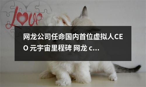 网龙公司任命国内首位虚拟人CEO 元宇宙里程碑 网龙 cto