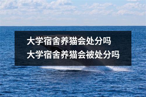大学宿舍养猫会处分吗 大学宿舍养猫会被处分吗