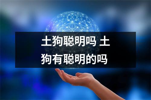土狗聪明吗 土狗有聪明的吗
