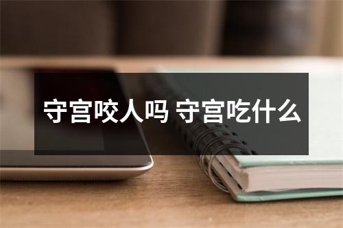 守宫咬人吗 守宫吃什么