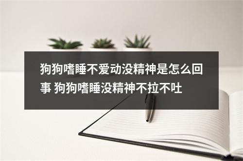狗狗嗜睡不爱动没精神是怎么回事 狗狗嗜睡没精神不拉不吐
