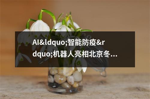 AI&ldquo;智能防疫&rdquo;机器人亮相北京冬奥 科技感满满 防疫机器人科技画