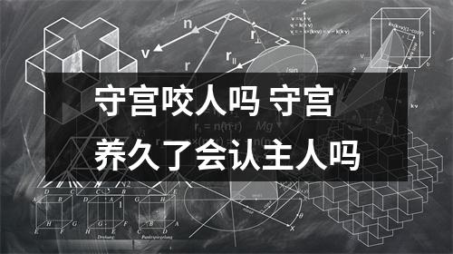守宫咬人吗 守宫养久了会认主人吗