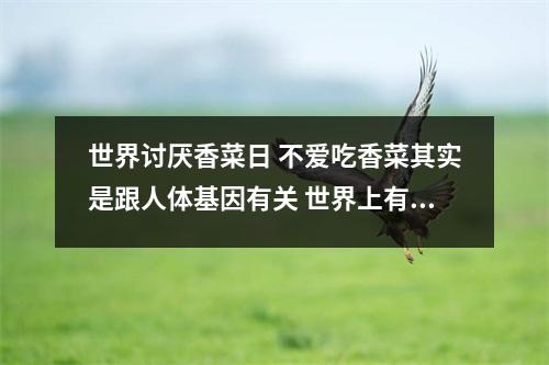 世界讨厌香菜日 不爱吃香菜其实是跟人体基因有关 世界上有多少人讨厌香菜