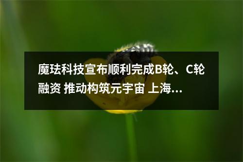 魔珐科技宣布顺利完成B轮、C轮融资 推动构筑元宇宙 上海魔珐科技有限公司地址