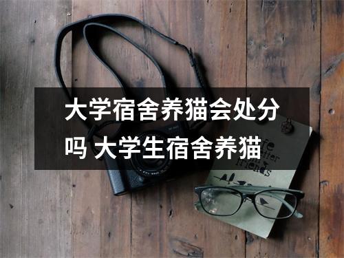 大学宿舍养猫会处分吗 大学生宿舍养猫 大学宿舍养猫会处分吗 大学生宿舍养猫
