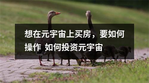 想在元宇宙上买房,要如何操作 如何投资元宇宙 想在元宇宙上买房,要如何操作 如何投资元宇宙