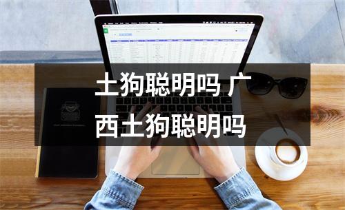 土狗聪明吗 广西土狗聪明吗 土狗聪明吗 广西土狗聪明吗