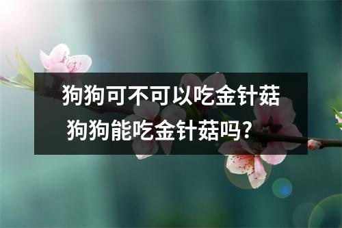 狗狗可不可以吃金针菇 狗狗能吃金针菇吗? 狗狗可不可以吃金针菇 狗狗能吃金针菇吗?