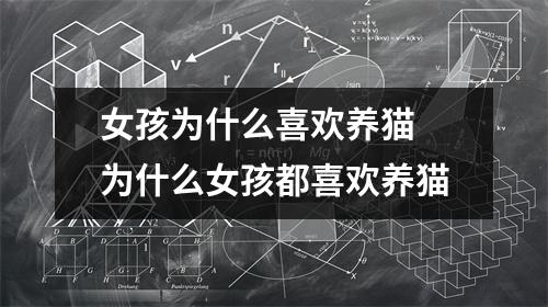 女孩为什么喜欢养猫 为什么女孩都喜欢养猫 女孩为什么喜欢养猫 为什么女孩都喜欢养猫