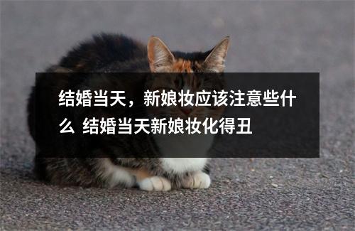 结婚当天,新娘妆应该注意些什么 结婚当天新娘妆化得丑 结婚当天,新娘妆应该注意些什么 结婚当天新娘妆化得丑