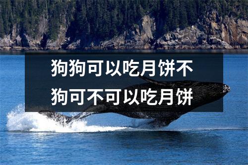狗狗可以吃月饼不 狗可不可以吃月饼 狗狗可以吃月饼不 狗可不可以吃月饼