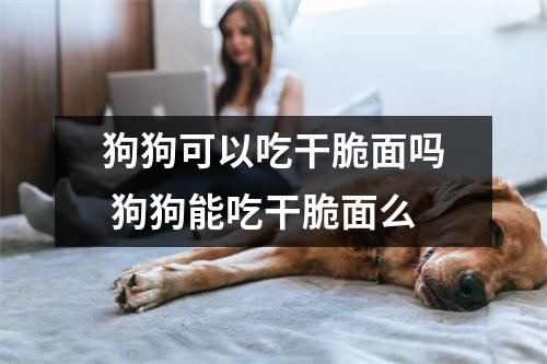 狗狗可以吃干脆面吗 狗狗能吃干脆面么 狗狗可以吃干脆面吗 狗狗能吃干脆面么