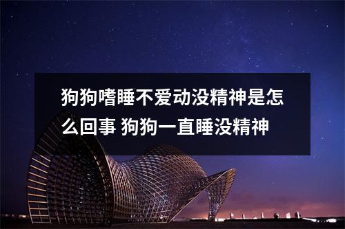 狗狗嗜睡不爱动没精神是怎么回事 狗狗一直睡没精神 狗狗嗜睡不爱动没精神是怎么回事 狗狗一直睡没精神