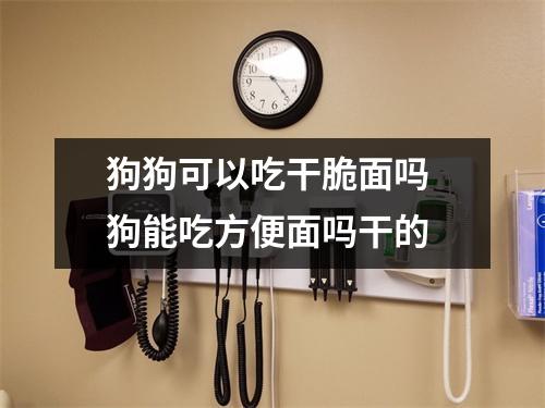 狗狗可以吃干脆面吗 狗能吃方便面吗干的 狗狗可以吃干脆面吗 狗能吃方便面吗干的