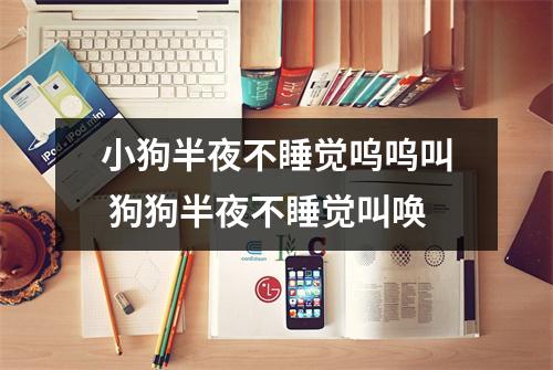 小狗半夜不睡觉呜呜叫 狗狗半夜不睡觉叫唤 小狗半夜不睡觉呜呜叫 狗狗半夜不睡觉叫唤