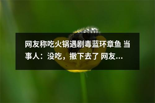 网友称吃火锅遇剧毒蓝环章鱼 当事人：没吃，撤下去了 网友称吃火锅遇剧毒蓝环章鱼I