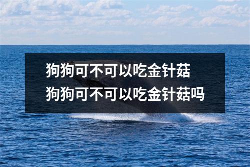 狗狗可不可以吃金针菇 狗狗可不可以吃金针菇吗