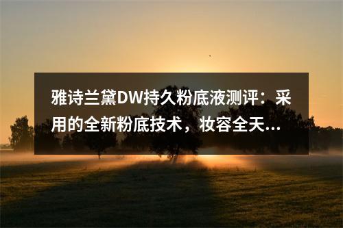 雅诗兰黛DW持久粉底液测评：采用的全新粉底技术，妆容全天贴面靚丽 雅诗兰黛dw粉底液试色