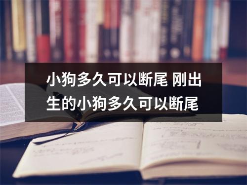 小狗多久可以断尾 刚出生的小狗多久可以断尾