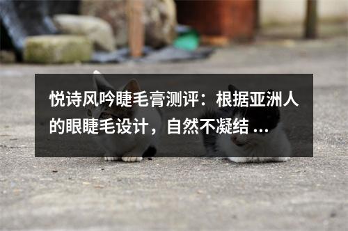 悦诗风吟睫毛膏测评:根据亚洲人的眼睫毛设计,自然不凝结 悦诗风吟睫毛膏哪款好 悦诗风吟睫毛膏测评:根据亚洲人的眼睫毛设计,自然不凝结 悦诗风吟睫毛膏哪款好