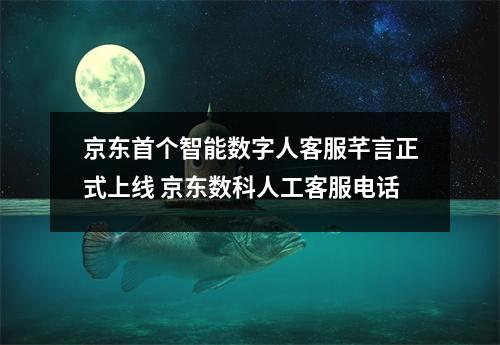 京东首个智能数字人客服芊言正式上线 京东数科人工客服电话 京东首个智能数字人客服芊言正式上线 京东数科人工客服电话