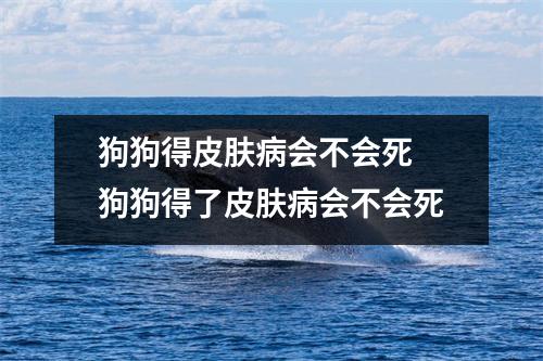 狗狗得皮肤病会不会死 狗狗得了皮肤病会不会死