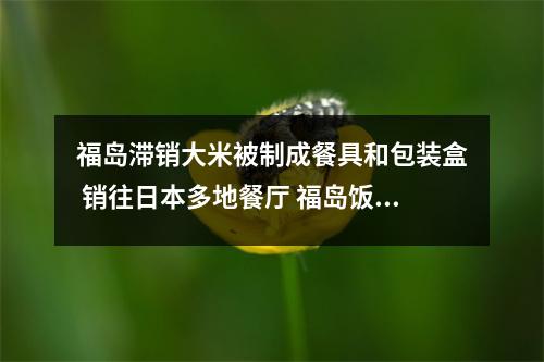 福岛滞销大米被制成餐具和包装盒 销往日本多地餐厅 福岛饭菜