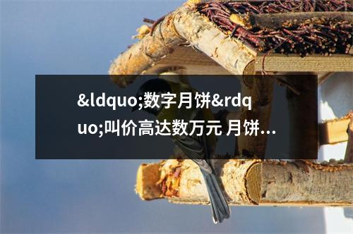 &ldquo;数字月饼&rdquo;叫价高达数万元 月饼入侵元宇宙市场 月饼数学手抄报